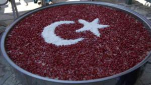 19 EYLÜL GAZİLER GÜNÜ MUT’TA KUTLANDI