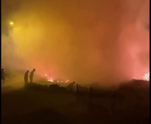 MUT’TA YANGIN KORKUTTU