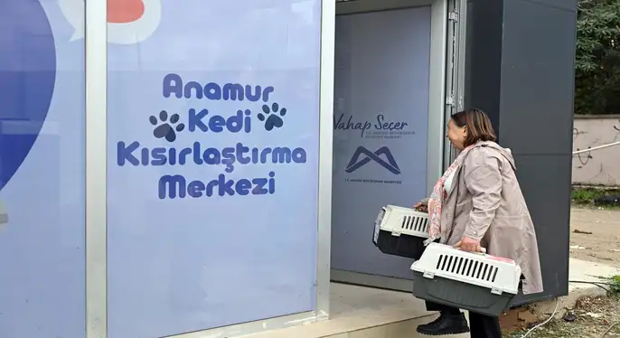 Anamur Kedi Kısırlaştırma Merkezi Faaliyete Geçti