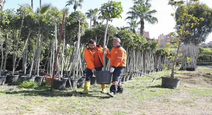 Mersin Büyükşehir’den Ağaçlandırma Kampanyası