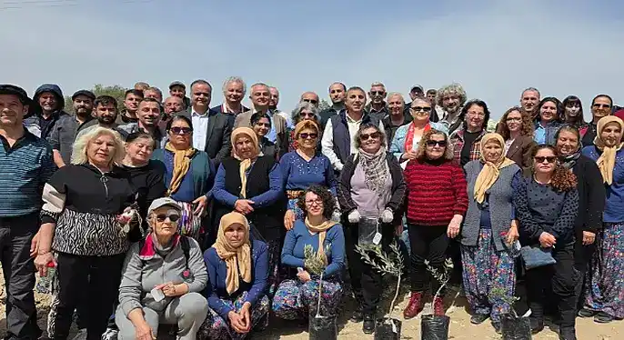 Kadim zeytin fidan çeşitleri Mut’ta toprakla buluştu