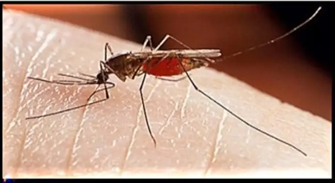 SITMA (MALARIA, PALUDISME)