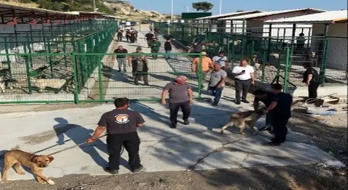 MUT’TA SOKAK HAYVANLARI BAKIMEVİ HİZMETE GİRDİ