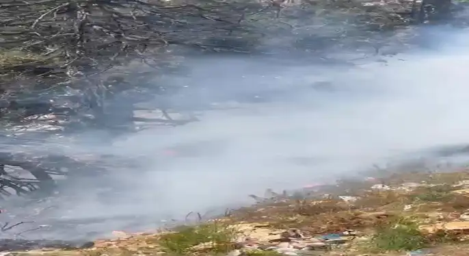 Mut’ta çöp döküm alanındaki yangın ormana sıçradı