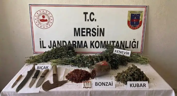 MUT’TA YASA DIŞI KENEVİR EKİMİ OPERASYONU